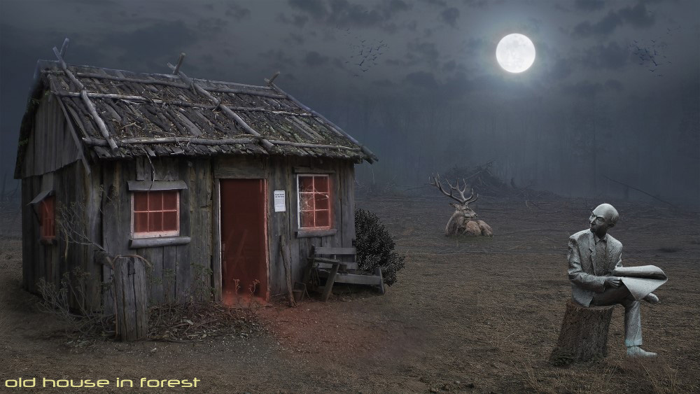 old house in forest